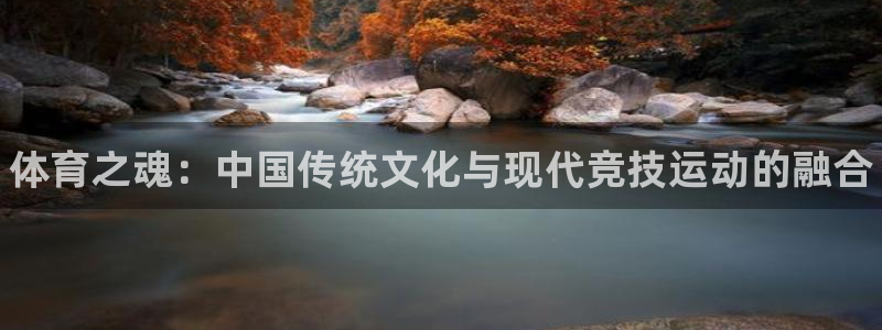 注册vsport体育官方正版app：体育之魂：中国传