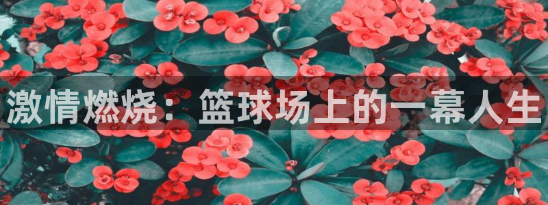 vsport体育官网下载是干嘛的公司：激情燃烧：篮球