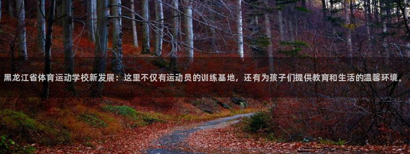 vsport体育官网下载招商电话号码：黑龙江省体育运动学校新