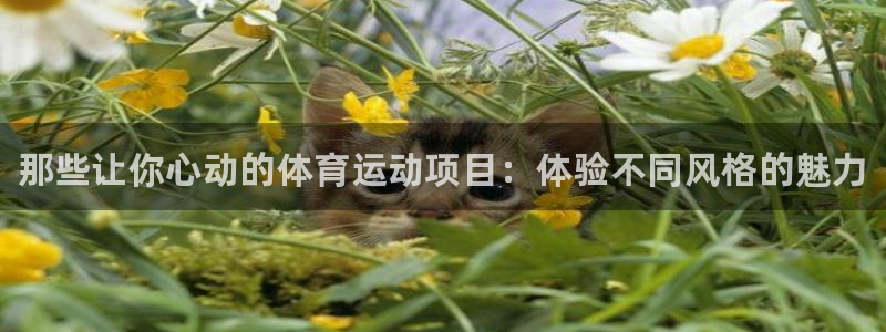 海南vsport体育官网下载发展怎么样：那些让你心动的体育运