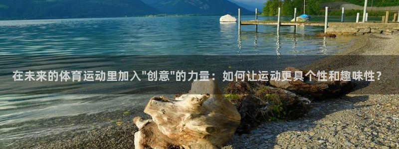 vsport体育官网下载招商电话是多少：在未来的体育运动里加