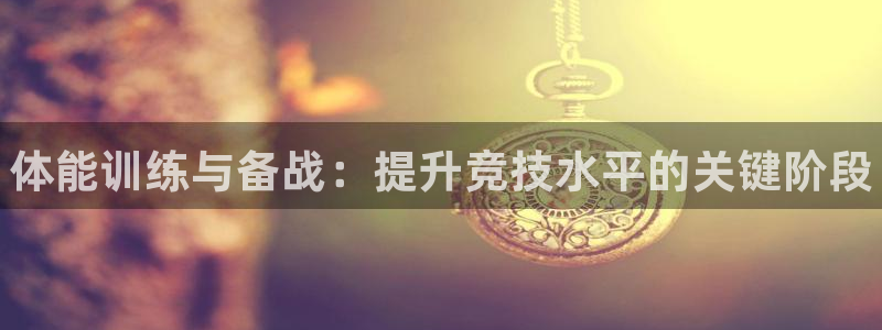 vsport体育官方正版app代理：体能训练与备战：提升竞技