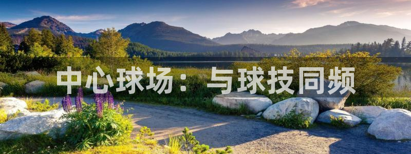 vsport体育官网下载招商电话地址