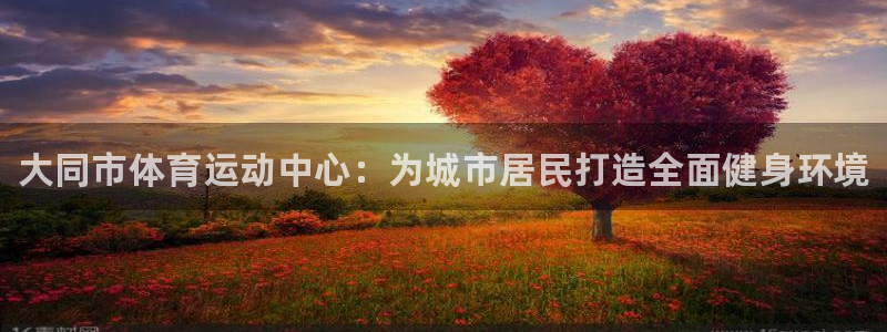 vsport体育官方正版app开户：大同市体育运动中心：为城