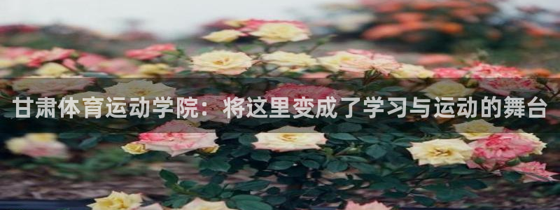 vsport体育官网下载平台是正规平台吗：甘肃体育运动学院：