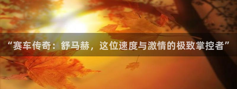 vsport体育官方正版app集团官网首页