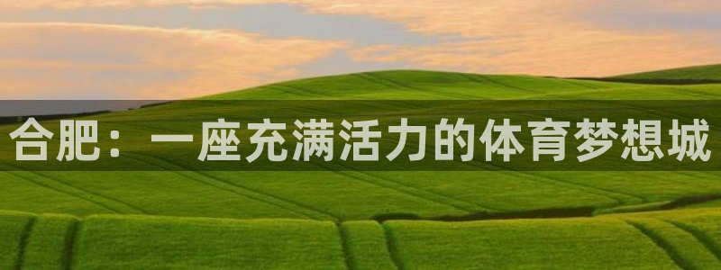 vsport体育官方正版app集团官网首页网址