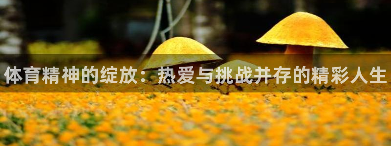 vsport体育官网下载平台注册要钱吗：体育精神的绽放：热爱