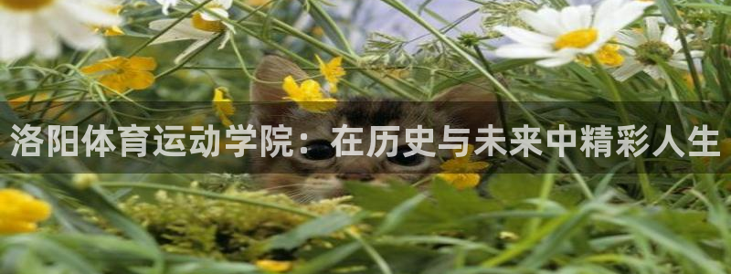 vsport体育官方正版app集团logo：洛阳体育运动学院
