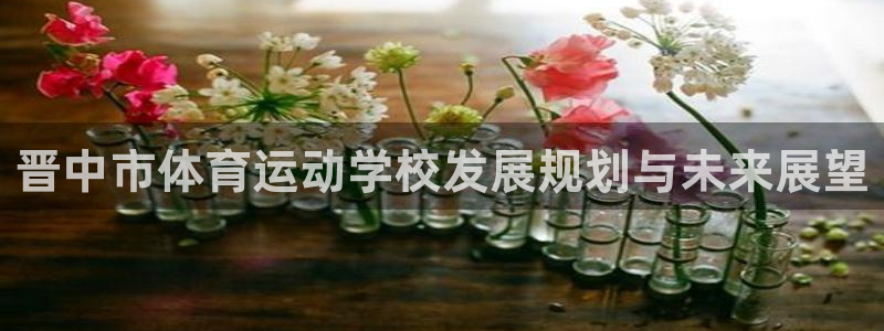 vsport体育官网下载招商电话地址查询：晋中市体育运动学校