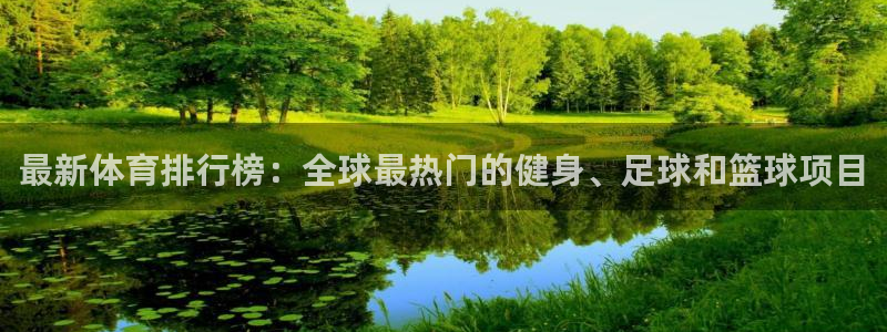 vsport体育官方正版app集团：最新体育排行榜：全球最热