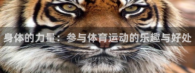 vsport体育官方正版app集团官网首页：身体的力量：参与