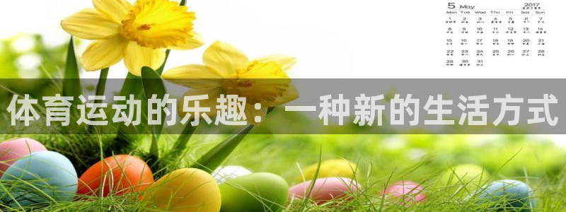 vsport体育官网下载软件