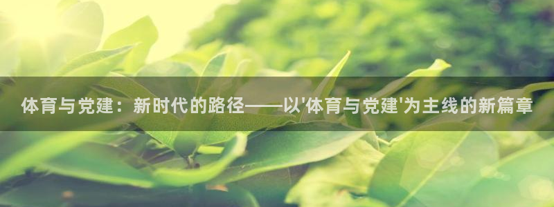 vsport体育官网下载招商电话：体育与党建：新时代的路径—