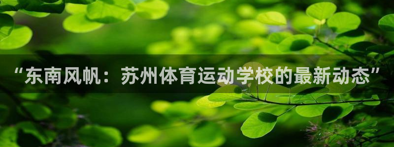 vsport体育官方正版app科技：“东南风帆：苏州体育运动