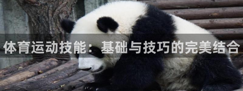 vsport体育官方正版app娱乐下载