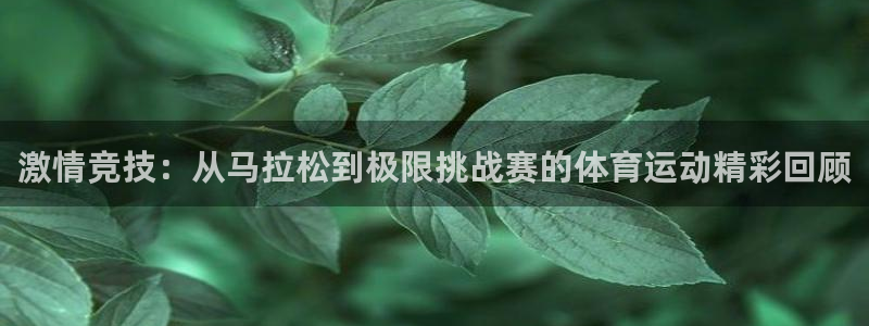 vsport体育官方正版app集团：激情竞技：从马拉