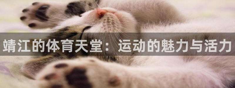 vsport体育官方正版app新能源：靖江的体育天堂