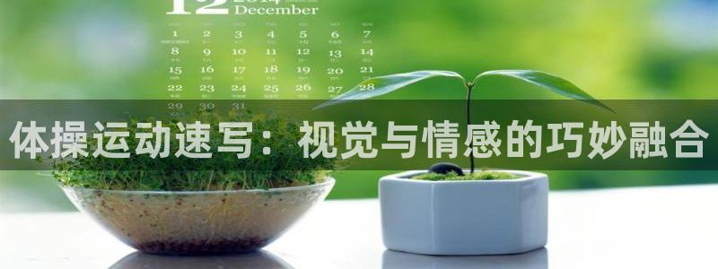 vsport体育官方正版app集团E.ON：体操运动