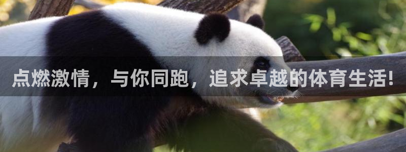 vsport体育官网下载平台注册：点燃激情，与你同跑