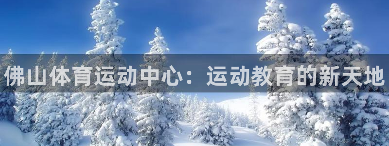 vsport体育官方正版app集团：佛山体育运动中心