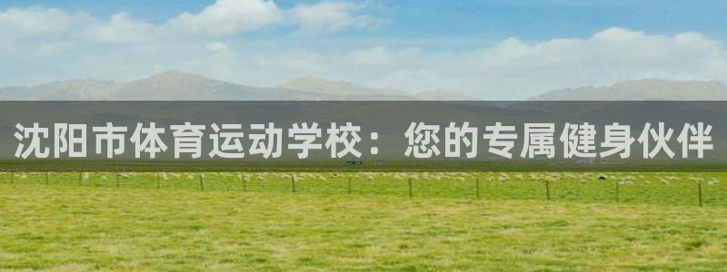 vsport体育官方正版app集团官网首页：沈阳市体