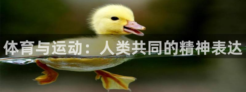 vsport体育官网下载平台注册流程图:体育与运动:人类共同